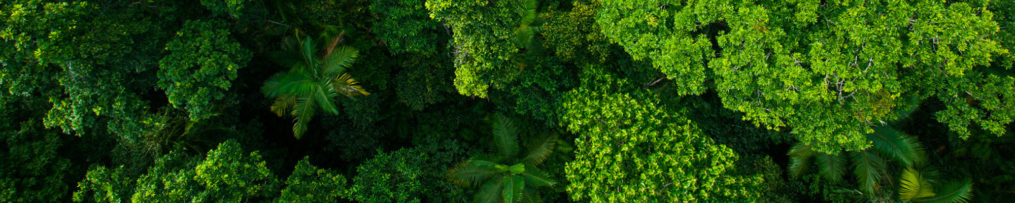 ecologicalPracticeCases_banner_xs