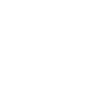 zhijiaBrain_p1_ico1