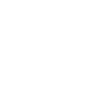 zhijiaBrain_p1_ico3