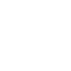 zhijiaBrain_p3_ico1