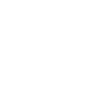 zhijiaBrain_p3_ico2