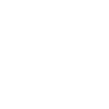 zhijiaBrain_p3_ico3