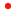 hw2019_foot_flag.png