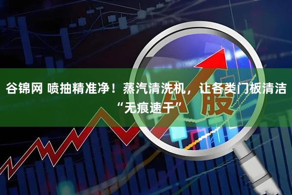 谷锦网 喷抽精准净!蒸汽清洗机,让各类门板清洁 “无痕速干”