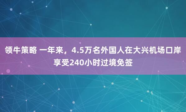 领牛策略 一年来,4.5万名外国人在大兴机场口岸享受240小时过境免签