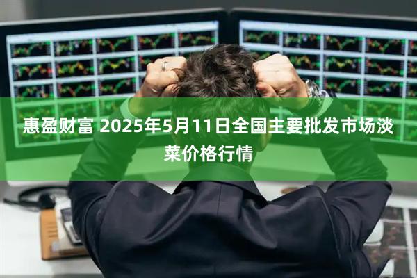 惠盈财富 2025年5月11日全国主要批发市场淡菜价格行情
