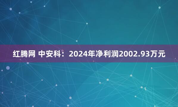 红腾网 中安科:2024年净利润2002.93万元