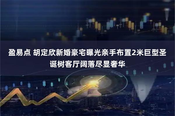 盈易点 胡定欣新婚豪宅曝光　亲手布置2米巨型圣诞树客厅阔落尽显奢华