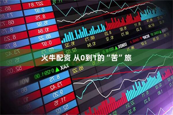 火牛配资 从0到1的“苦”旅
