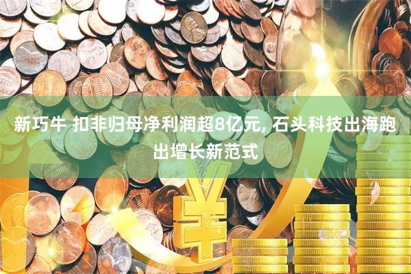 新巧牛 扣非归母净利润超8亿元, 石头科技出海跑出增长新范式